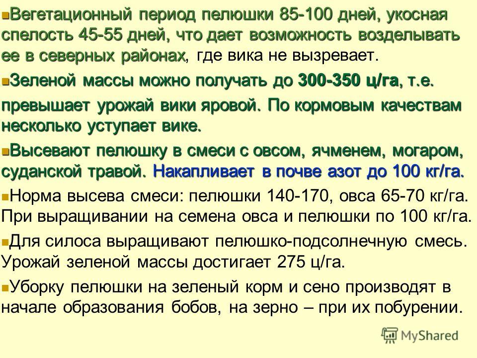 Вегетационный период. Период вегетации у растений что это. Период вегетации у хвойных растений. Вегетативный период растений это.