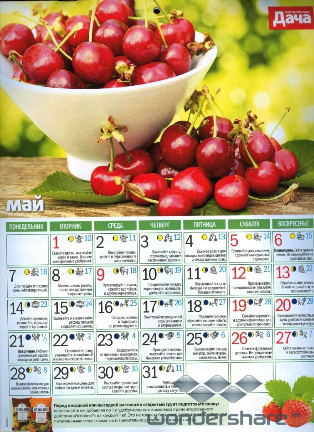 Садовый календарь на 24