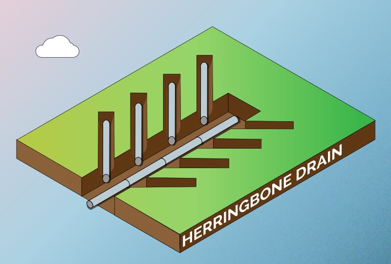 herringbone drain