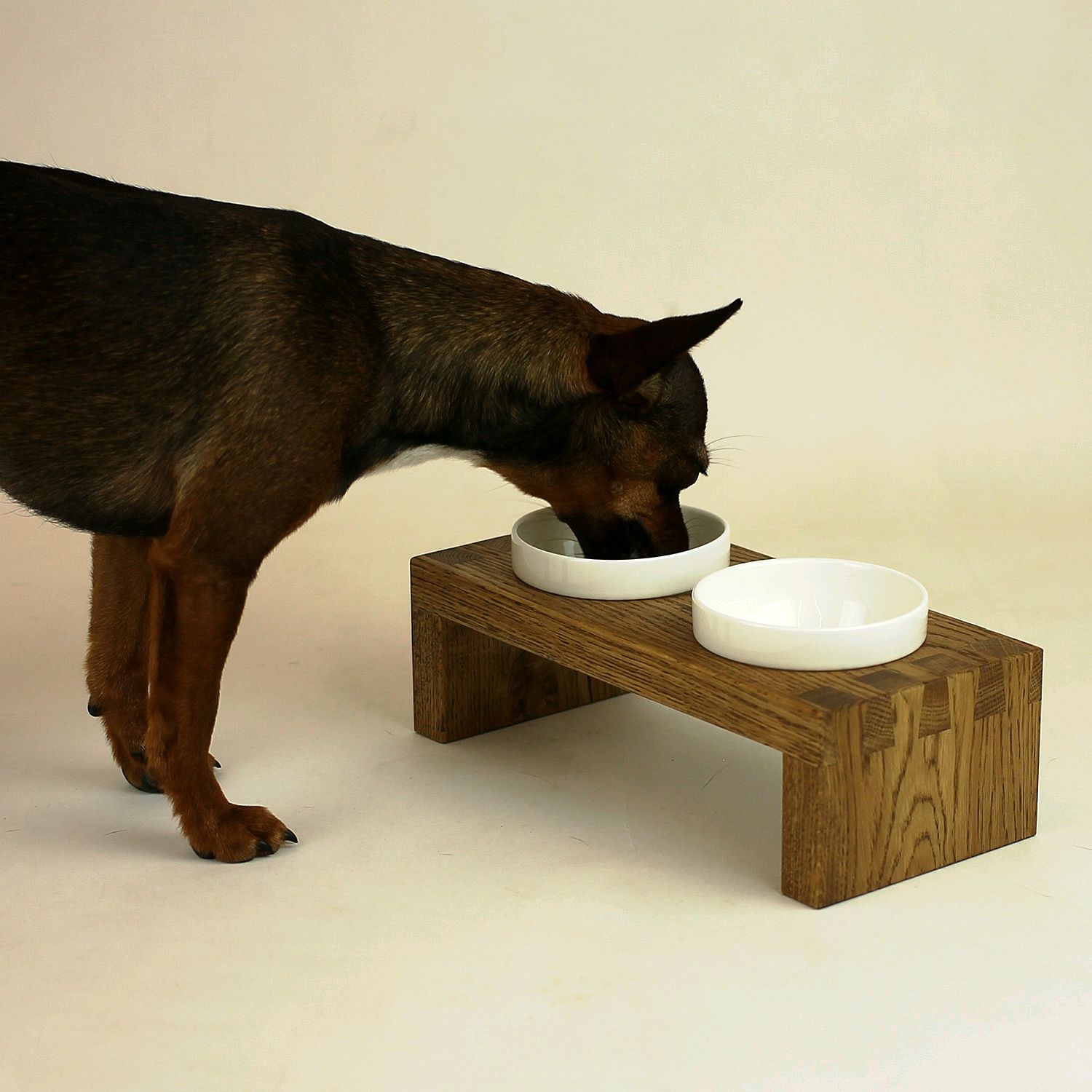 Миска для кормления собак