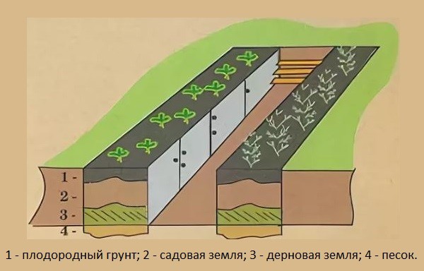 Схема грядки с дренажным слоем для болотистой местности