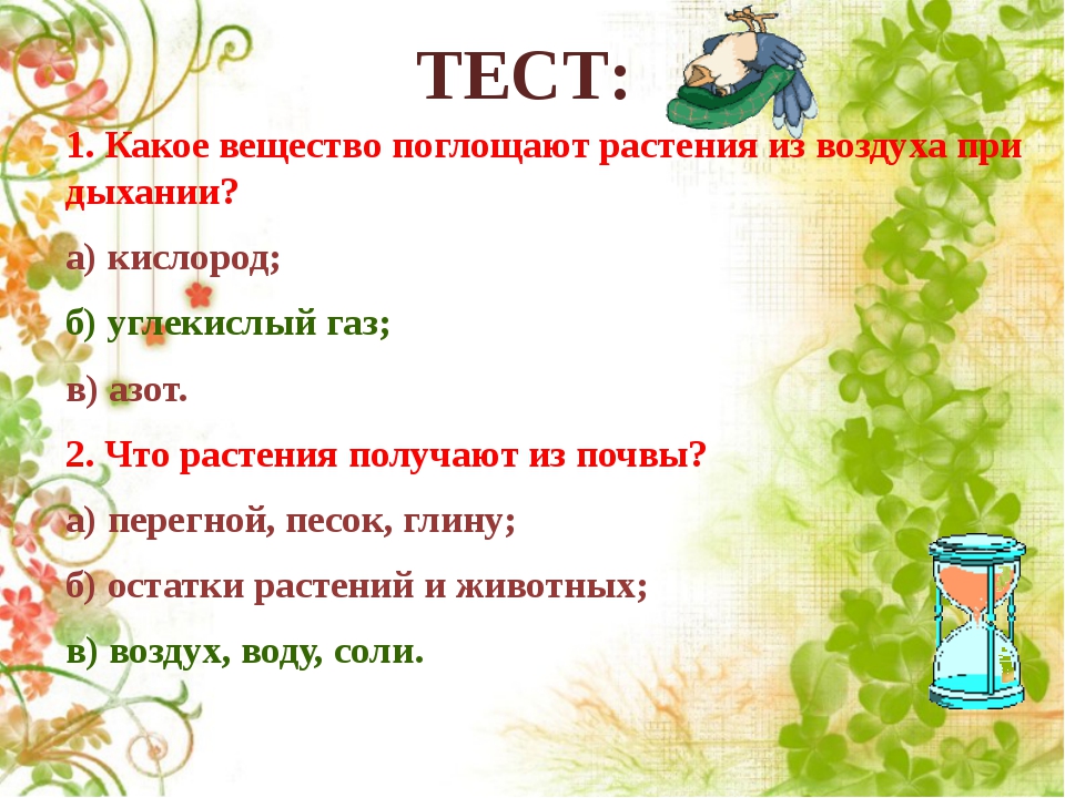 Что поглощают растения. Какие вещества поглощают растения. Какое вещество поглощают растения из воздуха при дыхании. Какие вещества растения получают из воздуха. При дыхании растение поглощает.