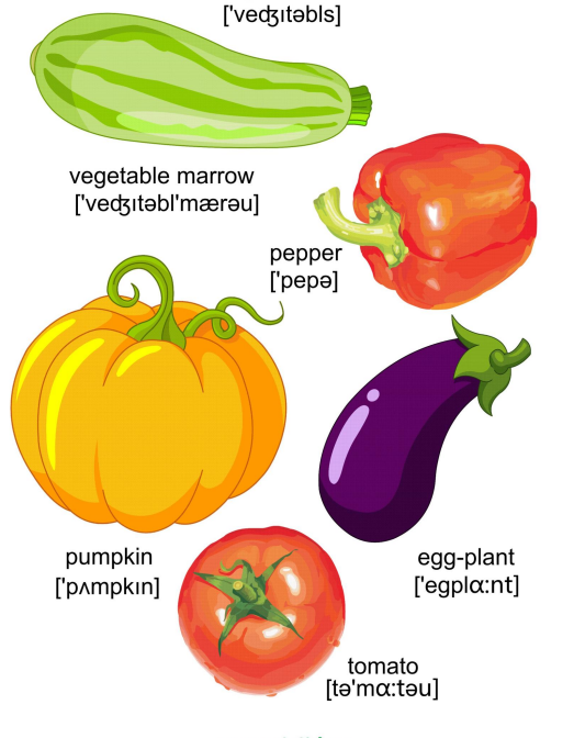 Перец перевод на английский. Перец на английском. Овощи на английском. Овощи на английском для детей. Огурец лук морковь тыква кабачок картошка томат.