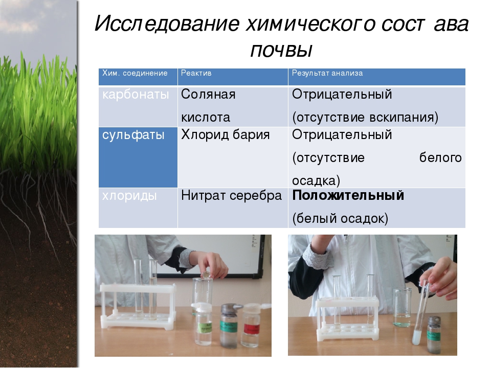 Работа с почвой. Химические методы исследования почвы. Химический анализ почвы. Исследование химического состава почвы. Методы анализа почв.