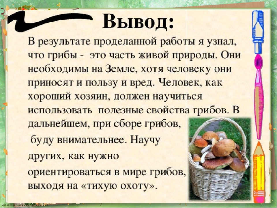 Грибы польза для организма женщины. Вывод про грибы. Грибы вред и польза для человека. Заключение о грибах.