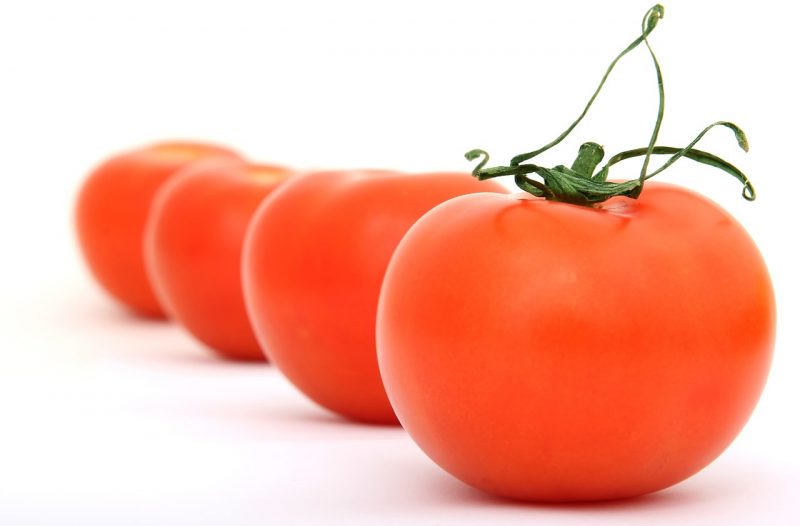 heirloom and GMO tomatoes