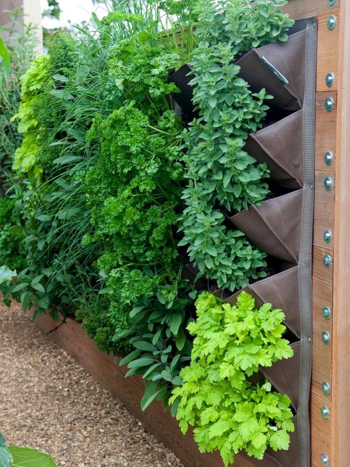 Зеленая стена – новое красивое и удобное решение для маленького участка