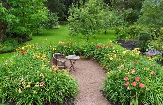 как красиво посадить лилейник в саду