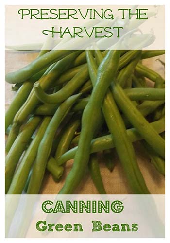 canning-green-beans for canning recipes