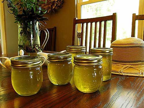 corn cob jelly can also be used for canning recipes