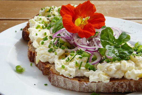 Nasturtium blossom on a sandwich