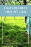 Cover image for 4 ways to build a cheap dog fence