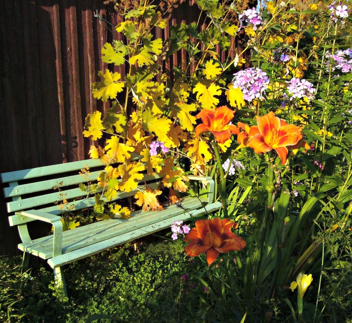 Cottage garden seating area