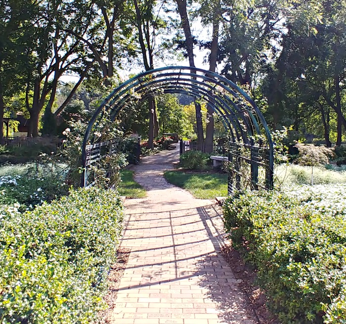 arch arbor in Springfield Botanical Gardens
