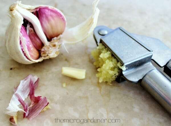 Garlic is a staple ingredient in my kitchen all year round - for health and flavour!