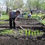 Лунный посевной календарь на апрель 2020 года садовода и огородника