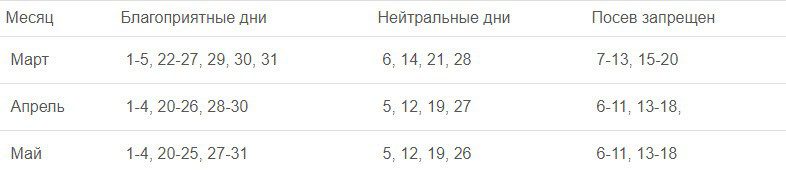 Как сажать морковь, чтобы не прореживать в 2020 году?