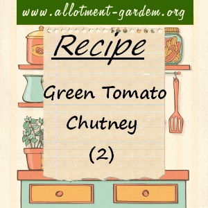 green tomato chutney (2)