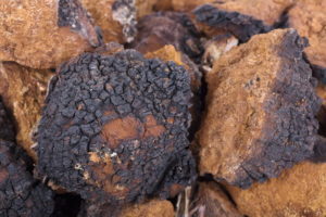 Chaga Mushroom Chunks