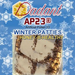 AP23 Winter Patties