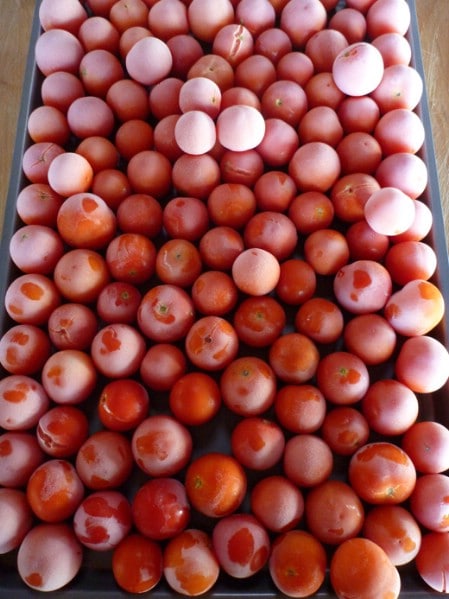 Freezing Cherry Tomatoes - Top 8 Most Popular Ways to Preserve Tomatoes for Winter 