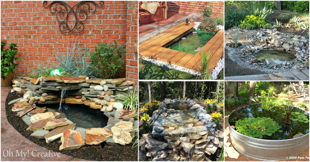15 Budget Friendly DIY Garden Ponds You Can Make This Weekend