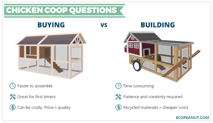 buying vs building chicken coops graphic