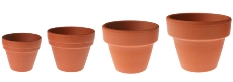 repotting house plants, terra cotta pots