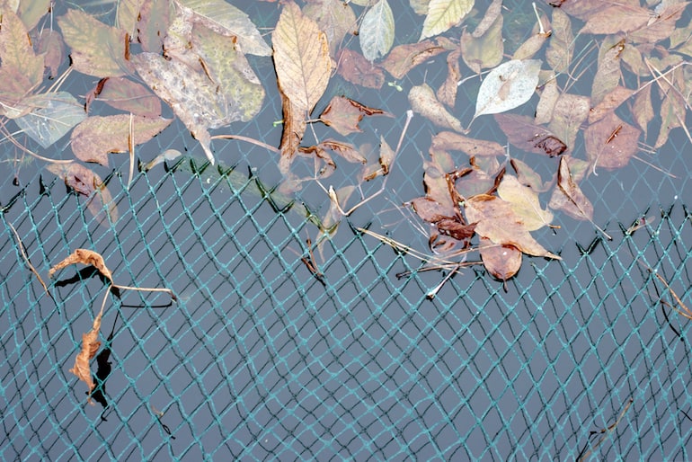 netting covering pond full of leaves
