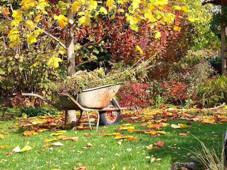 autumn-leaves-surrounding-wheelbarrow